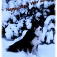 Året 2010 Alle mine bloglæsere ønskes et godt og lykkebringende Nytår! Jeg tror der må være noget galt med min 2010 kalender, for dette år har da bare været meget kortere end...
